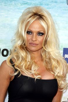 Засвет груди Памела Андерсон в прозрачном платье фото #1