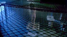 Голая Азия Ардженто в фильме «Хранитель» фото #8