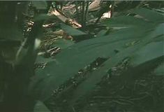 Голая Аманда Донохью в фильме «Отверженный» фото #56