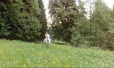 Голая Аманда Пламмер в фильме «8 1.2 женщин» фото #17