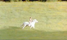 Голая Аманда Пламмер в фильме «8 1.2 женщин» фото #20