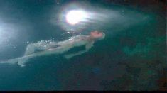 Голая Анни Бель в фильме «Лаура» фото #20