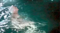 Голая Анни Бель в фильме «Лаура» фото #24