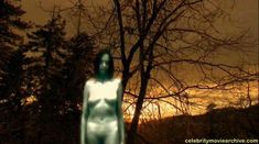 Голая Боти Блисс в фильме «Пульс 2» фото #5