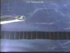 Голая Бриджит Нильсен в фильме «Домино» фото #7