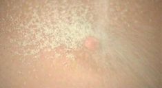 Голая писька Брижит Лаэ в порнофильме Six Swedes on a Campus фото #6