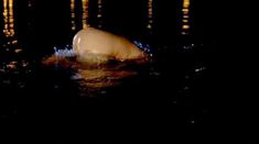 Голая попа Брук Невин в фильме Sherman's Way фото #6