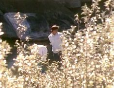 Красотка Венди Крюсон оголила грудь и попу в фильме Getting Married in Buffalo Jump