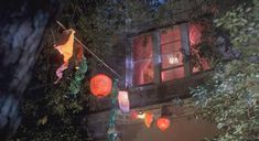 Голая Вирджиния Мэдсен в фильме «Горячее местечко» фото #1