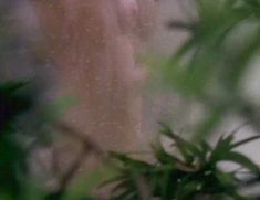 Полностью голая Дана Плато в фильме «Другие черты» фото #20