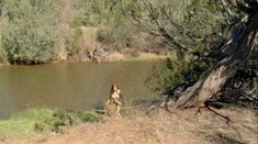 Голая Даниэль Де Люка в фильме «Обнаженный страх» фото #27