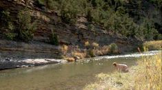 Голая Даниэль Де Люка в фильме «Обнаженный страх» фото #33