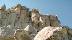 Голая Даниэль Де Люка в фильме «Обнаженный страх» фото #45