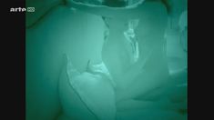 Голая Дебора Реви в фильме «Ксанаду» фото #12