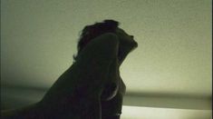 Голая Джоан Северанс в фильме «Домашнее видео» фото #4