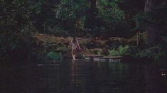 Голая Джордана Брюстер в фильме «Рядом с Грейс» фото #6