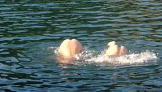 Голая Джуди Аронсон в фильме «Пятница 13-е – Часть 4. Последняя глава» фото #4