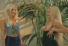 Голая грудь Джули Медоуз в фильме «Дешевый трепет» фото #3