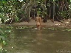 Голая Дэрил Ханна в фильме «Игры в полях Господних» фото #5