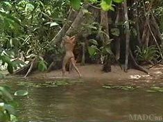 Голая Дэрил Ханна в фильме «Игры в полях Господних» фото #7