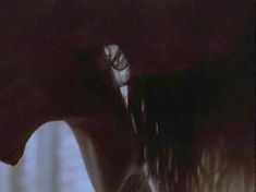 Голая Камилла Овербай Рус в фильме «На границе» фото #6