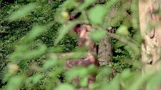 Голая Камилль Китон в фильме «Я плюю на ваши могилы» фото #2