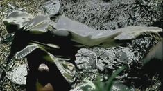 Голая Кари Вурер в фильме «Бессмертные воины» фото #3