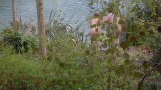 Голая Кейт Уинслет в фильме «Айрис» фото #13