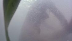 Голая Кейт Уинслет в фильме «Айрис» фото #16