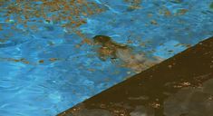 Голая Людивин Санье в фильме «Бассейн» фото #5