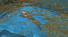 Голая Людивин Санье в фильме «Бассейн» фото #7