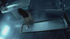 Голая Люси Лью в фильме «Кровь охотника» фото #2