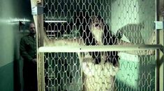 Голая Марайа Делфино в фильме «Покаяние» фото #17