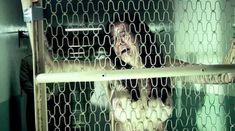 Голая Марайа Делфино в фильме «Покаяние» фото #18