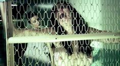 Голая Марайа Делфино в фильме «Покаяние» фото #19