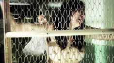 Голая Марайа Делфино в фильме «Покаяние» фото #22