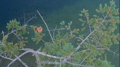 Голая грудь Мэйко Нгуйен в фильме «Держись до конца» фото #1