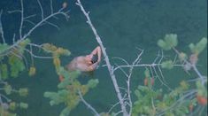 Голая грудь Мэйко Нгуйен в фильме «Держись до конца» фото #2