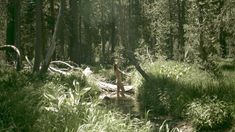 Голая Надия Ланфранкони в фильме «Охота за мертвецом» фото #1