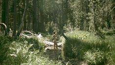 Голая Надия Ланфранкони в фильме «Охота за мертвецом» фото #2