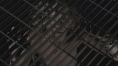 Абсолютно голая Никки Эйкокс в фильме «Темный мир» фото #16