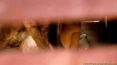 Голая Оливия Хасси в фильме «Небесная тортилья»