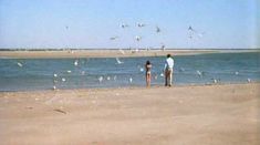 Голая попка Орнеллы Мути в фильме «История обыкновенного безумия» фото #8