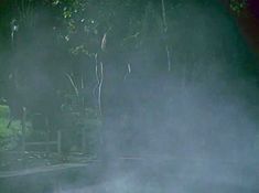 Голая Полли Шеннон в фильме «Соседка» фото #1