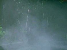 Голая Полли Шеннон в фильме «Соседка» фото #3