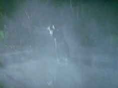 Голая Полли Шеннон в фильме «Соседка» фото #4