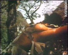 Голая Пэм Гриер в фильме «Женщины в клетках»