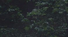 Голая Роуз Лесли в фильме «Медовый месяц» фото #5