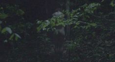 Голая Роуз Лесли в фильме «Медовый месяц» фото #6