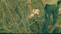 Голая Саванна Костильо в фильме «Потрошитель» фото #5